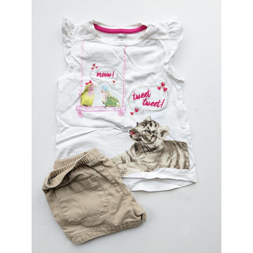 Gymboree/Crazy 8 Tiger Set